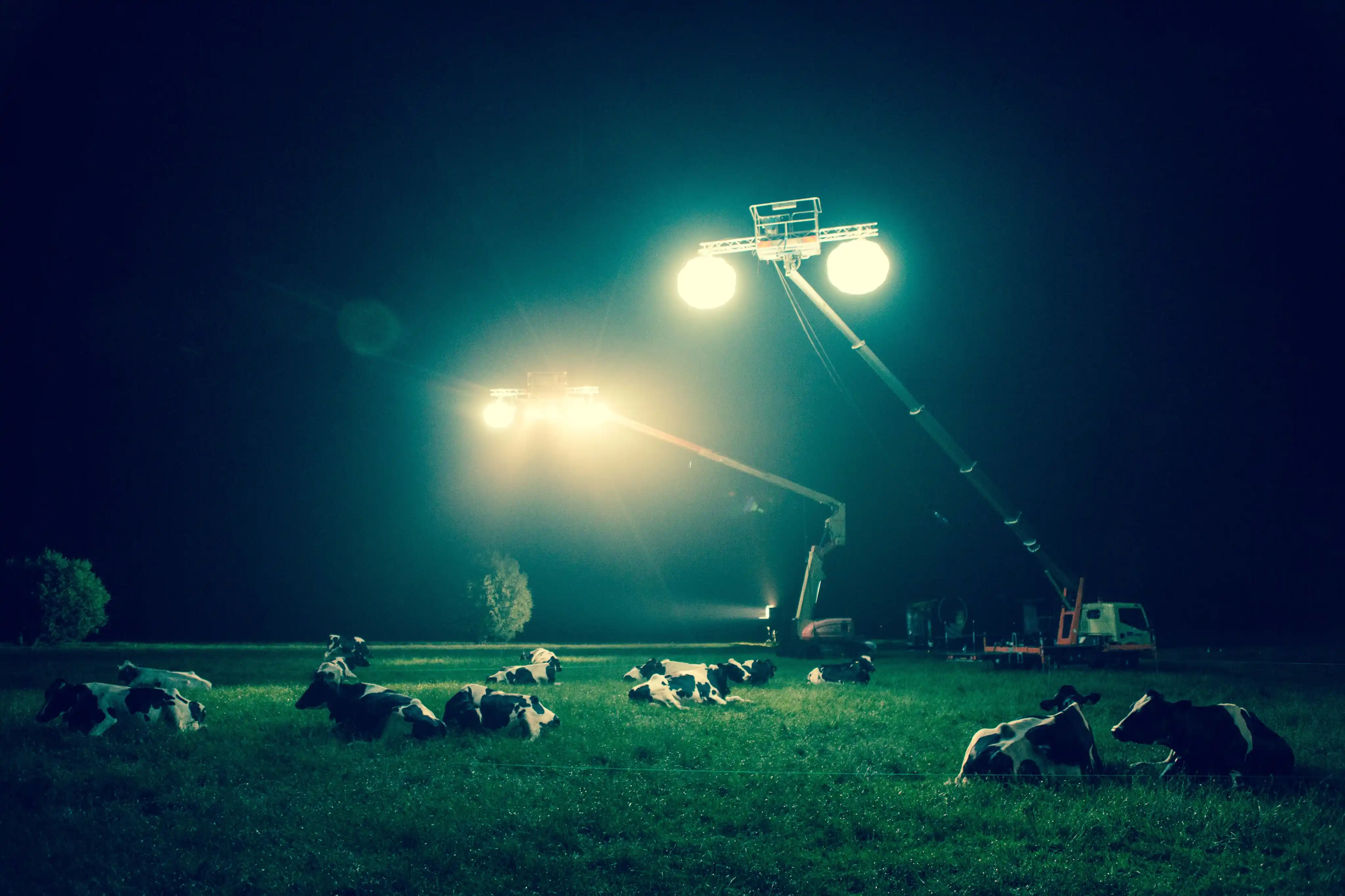 Execution and Emotional Impact